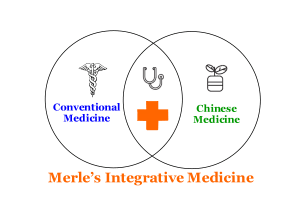 a diagram that shows merle's approch to integrative medicine
