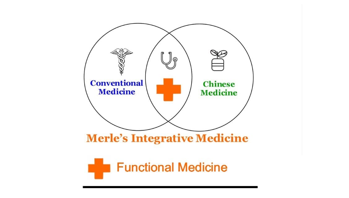 functional medicine is part of integrative medicine